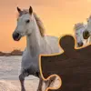 Pony Puzzles