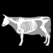 3D Bovine Anatomy 