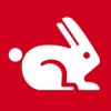 Rabbit Web Performance icon