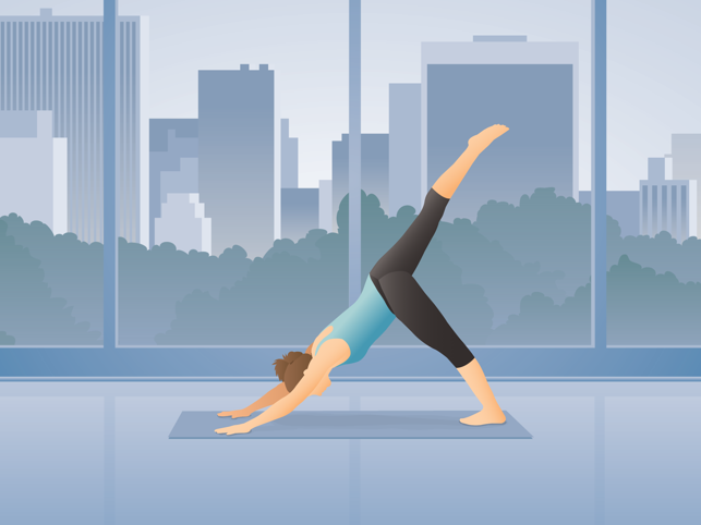 ‎Pocket Yoga Screenshot