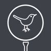 Golf GPS - Hello Birdie icon