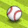 Pixel Pro Baseball App Support