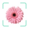 Plantr - Plant Identifier app icon