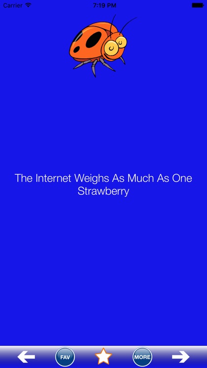 Weird Facts - Fun Facts