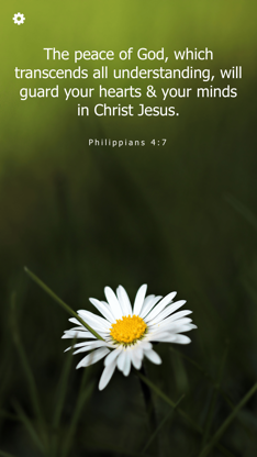 Bible Verses Daily Scriptures screenshot 4