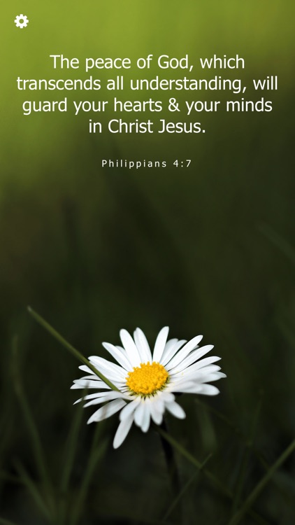 Bible Verses Daily Scriptures screenshot-3