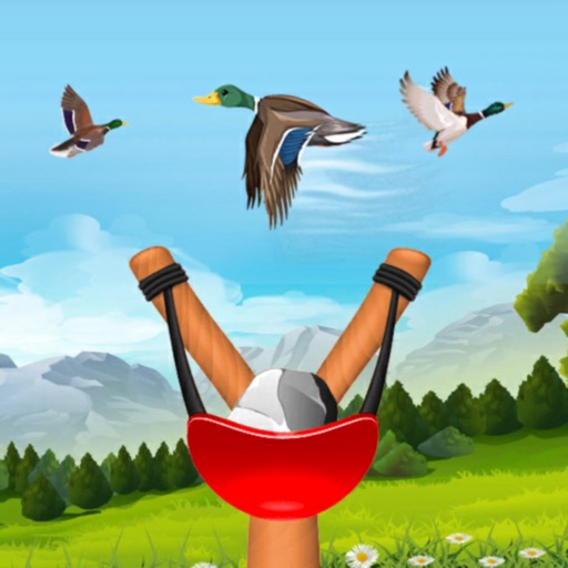 Crazy bird hunting shooter 3d icon