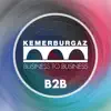 Kemerburgaz B2B App Negative Reviews