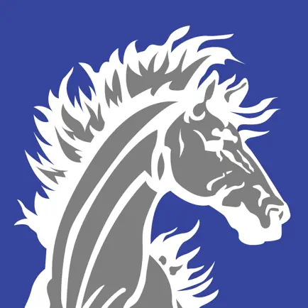 Newell-Fonda CSD Cheats