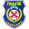 Trafik Ceza Rehberi 2024 icon