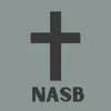 New American Standard - NASB App Feedback