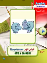 learn arabic vocabulary iPad Captures Décran 4