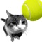 Icon Cat Tennis
