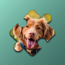 Dogs Mania Jigsaw Puzzles