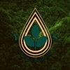 Yerba Santa icon