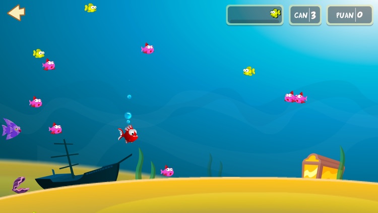 Alim Kids screenshot-7