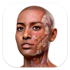 Complete Anatomy 24 - 3D4Medical from Elsevier