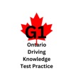 G1 Driving Test Practice 2023 icon