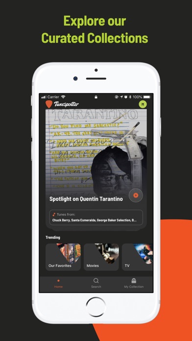 Tunespotter Screenshot