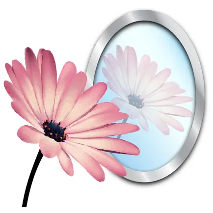 Photo Reflect - Video too! Читы