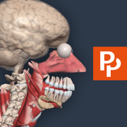 Primal's 3D Human Anatomy Quiz
