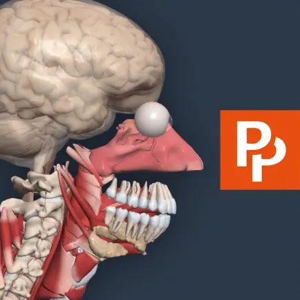 Primal's 3D Human Anatomy Quiz Cheats