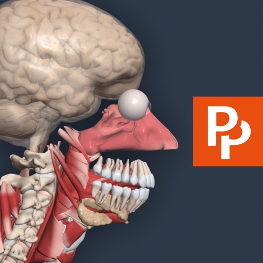 Primals 3D Human Anatomy Quiz