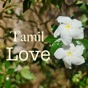 Tamil Love app download