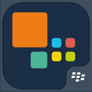 TimeFleX V4 BlackBerry