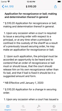 Game screenshot New York Criminal Law apk