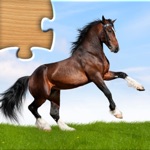 Download Animal Puzzle for Toddlers 3+ app
