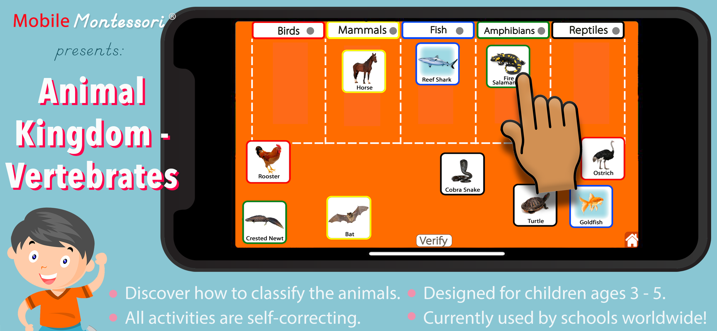 Animal Kingdom (Vertebrates)