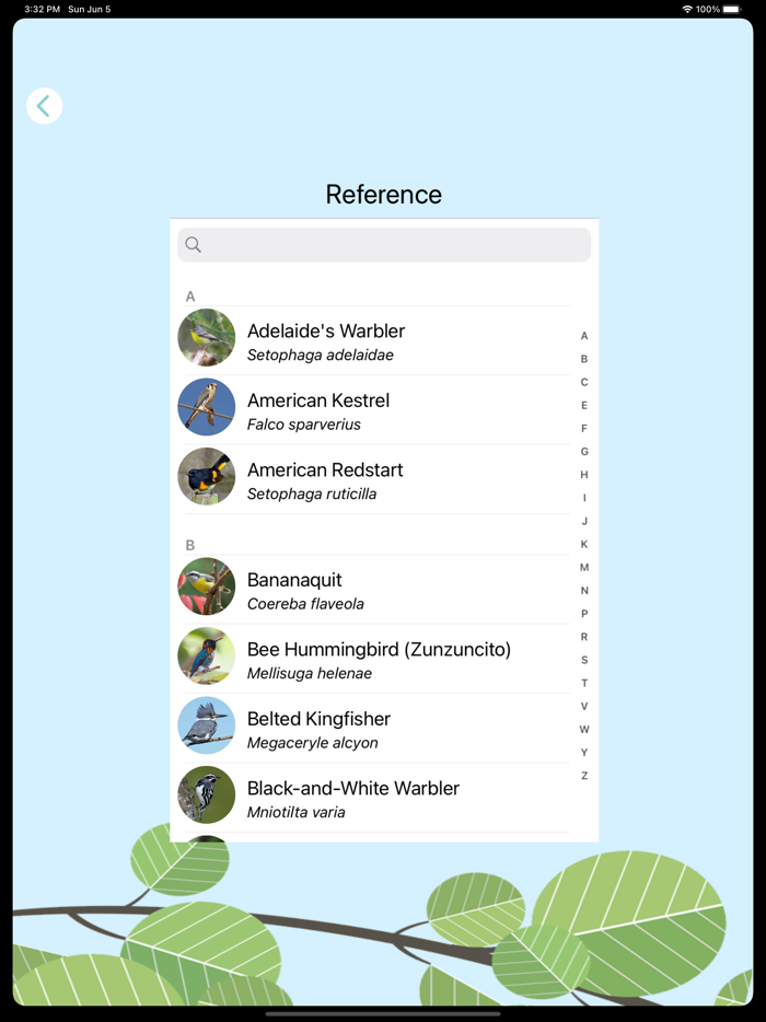 ChirpOMatic Caribbean