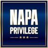 NAPA Orlando 2024 icon