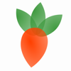 Gartenplaner fürs Gemüsebeet - Bento Software