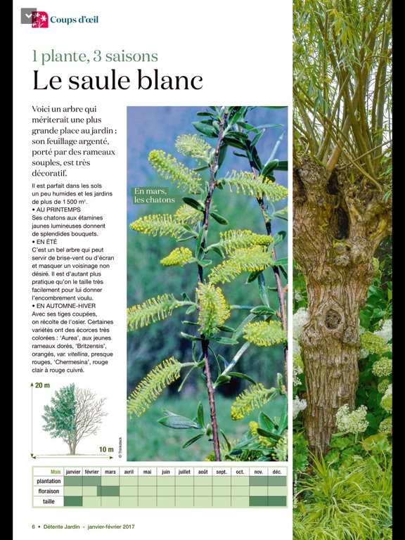 Screenshot #5 pour Détente Jardin Magazine