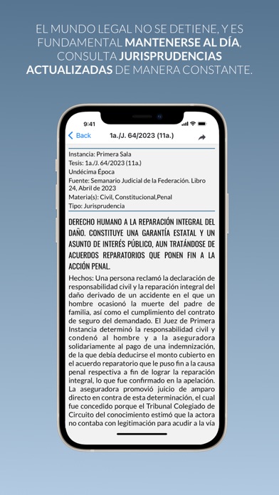 Leyes y Tesis Civiles Screenshot