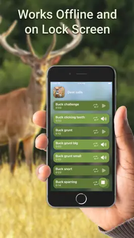 Game screenshot Hunting Calls: Deer hack