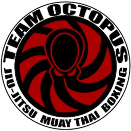 Team Octopus Virtual