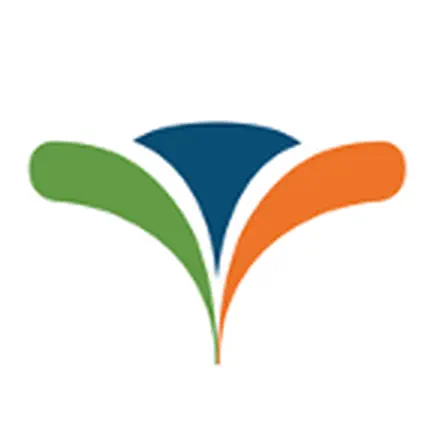 Canvera Читы