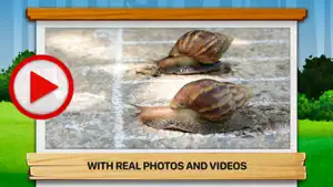 Bugs 2: What Are They Like? screenshot 2