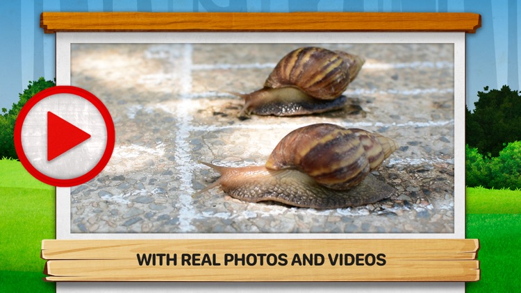 Bugs 2: What Are They Like?