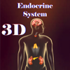 Endocrine System - sunil christian