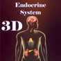 Endocrine System app download