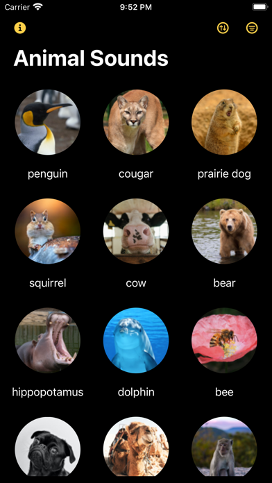 Discovery: Animal Sounds! Screenshot
