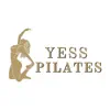 YESS PILATES problems & troubleshooting and solutions