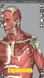 3d anatomy problems & solutions and troubleshooting guide - 1