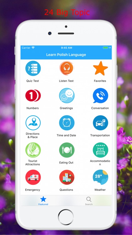 Learn Speak Polish Language screenshot-6