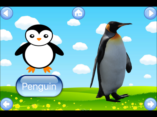 Screenshot #6 pour Zoo Animals Sound Flash Cards