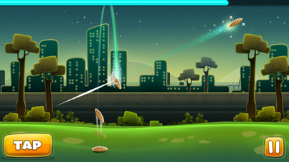 Gilli Danda -A Desi Flick Game Screenshot